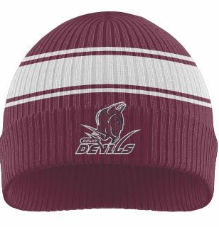 2026 Beanie